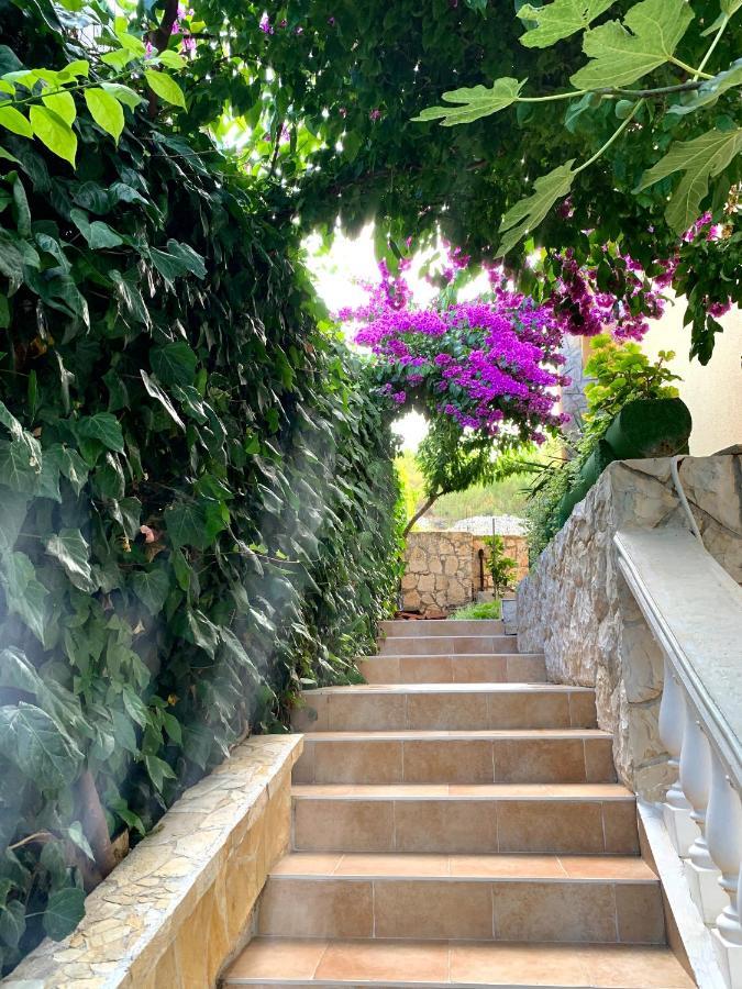 Apartments Villa Ra ザボリッチ エクステリア 写真