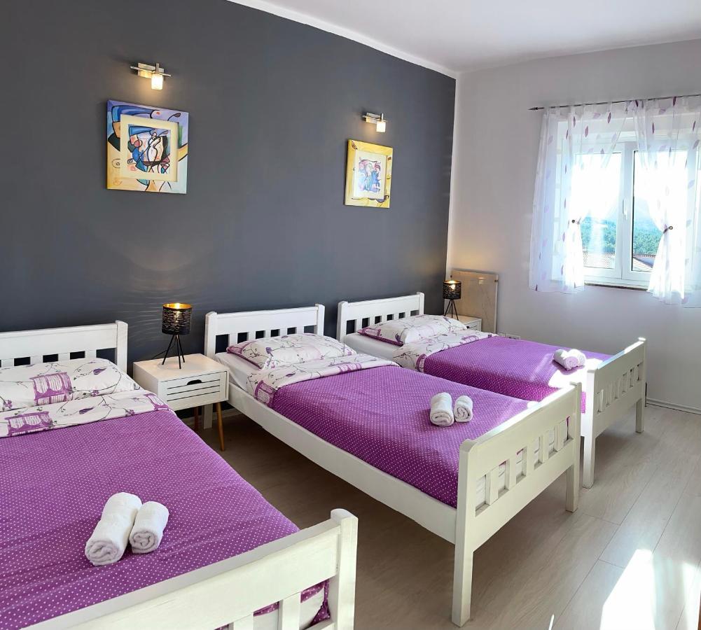 Apartments Villa Ra ザボリッチ エクステリア 写真